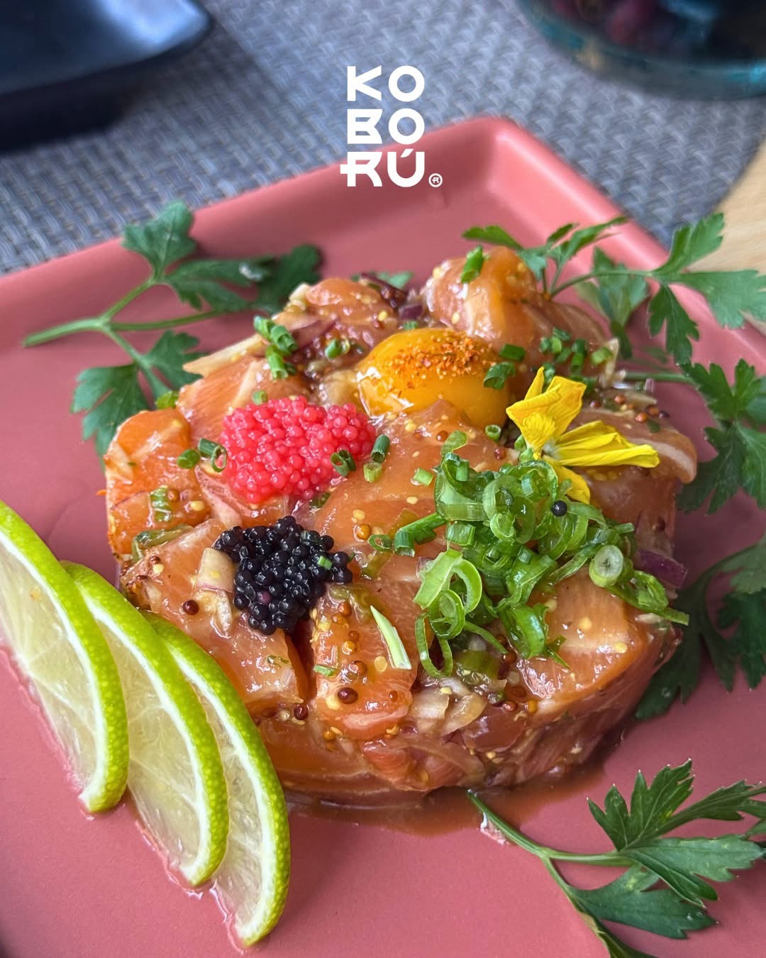 Sushi Tártaro Salmão - Koború Restaurante Japonês
